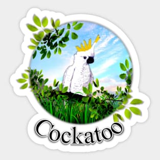 Cockatoo Sticker